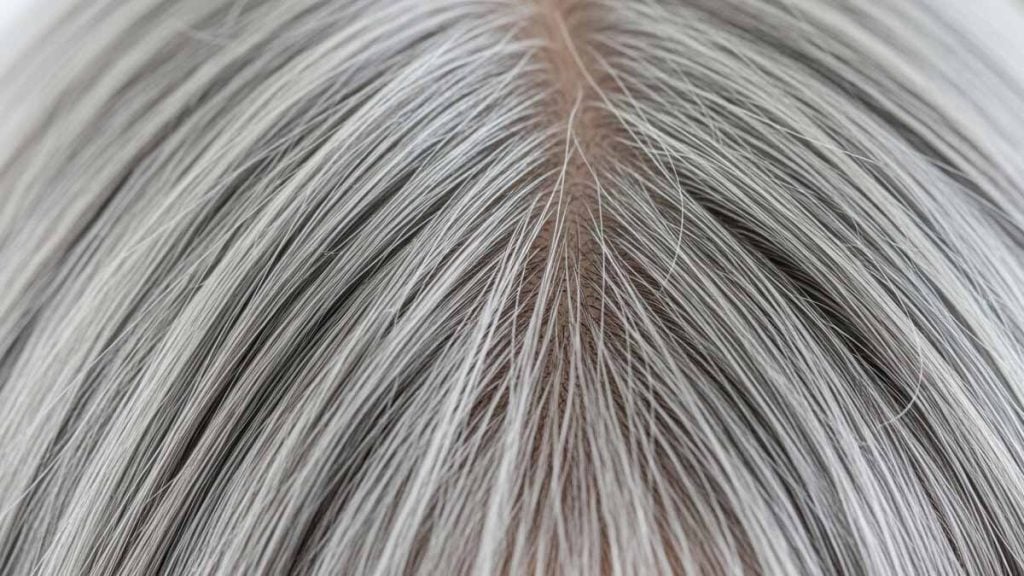 cheveux gris